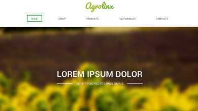 Photo of [Download-S2] Agrolinx - Creativemarket Responsive One Page Theme