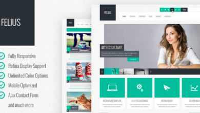 Photo of [Download-S2] Felius - Responsive Multipurpose Template