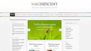 Photo of [Download-S2] Magnificent ElegantThemes WordPress Theme