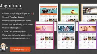 Photo of [Download-S2] Magnitudo - Powerful Themeforest Wordpress Business Theme