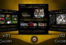 Photo of [Download-S2] Themeforest Modern Photographer Portfolio - 2 Gallery