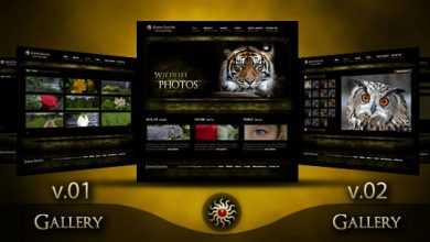 Photo of [Download-S2] Themeforest Modern Photographer Portfolio - 2 Gallery