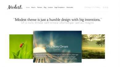 Photo of [Download-S2] Modest ElegantThemes WordPress Theme