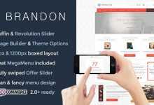 Photo of [Download-S2] Brandon v1.6.4 - Responsive Multi-Purpose WordPress Theme