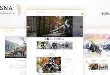 Photo of [Download-S2] Asna v1.2 - Creative Blog