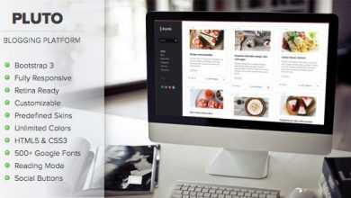 Photo of [Download-S2] Pluto - Clean Personal WordPress Masonry Blog Theme