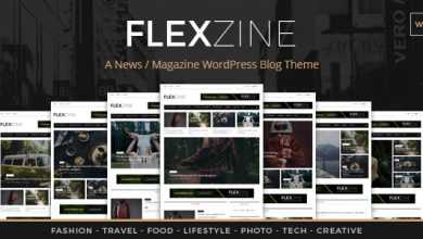 Photo of [Download-S2] FlexZine v1.0 - A WordPress Magazine Theme