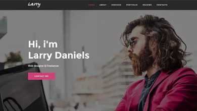 Photo of [Download-S2] Larry v1.0.2 - Personal Onepage WordPress Theme