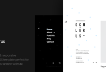 Photo of [Download-S2] Ocularus - Minimal Photography Html Template