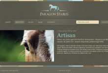 Photo of [Download-S2] Paragon - Themeforest HTML Template