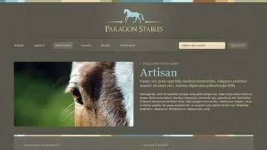 Photo of [Download-S2] Paragon - Themeforest HTML Template