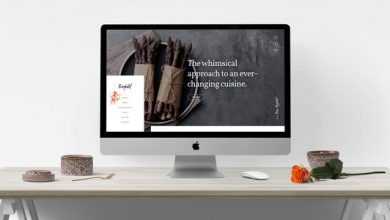 Photo of [Download-S2] Berghoef v1.0.0 - Contemporary WordPress Theme