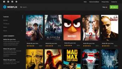 Photo of [Download-S2] Webflix - Streaming Media Theme