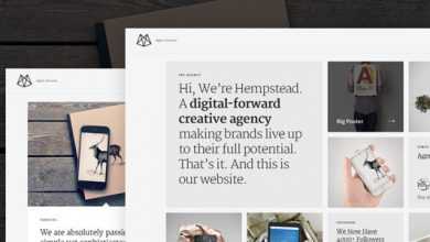 Photo of [Download-S2] Hempstead – Responsive WordPress Portfolio Theme
