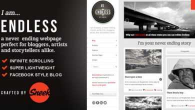 Photo of [Download-S2] Endless v1.2.5 - Infinite scrolling WordPress Theme