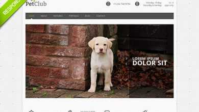 Photo of [Download-S2] Animal - Flashmint Responsive Bootstrap HTML Theme