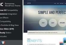 Photo of [Download-S2] Appic v1.2.10 - Business & Technology WordPress Theme