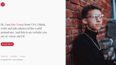 Photo of [Download-S2] Origin Creative Personal Portfolio Template
