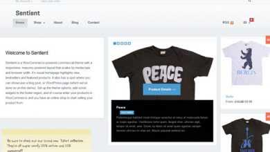 Photo of [Download-S2] Sentient - WooThemes Premium Wordpress Theme