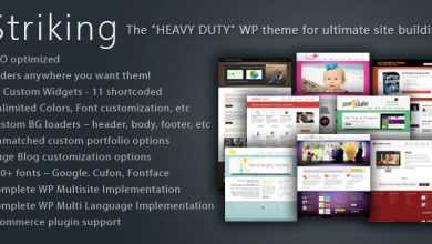 Photo of [Download-S2] Striking Premium Corporate & Portfolio Themeforest Theme