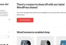 Photo of [Download-S2] Show Off - Woothemes Wordpress Template