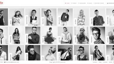 Photo of [Download-S2] Julia - Talent Management WordPress Theme