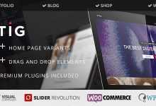 Photo of [Download-S2] Stig - Multipurpose Multi/One Page Responsive WP Theme