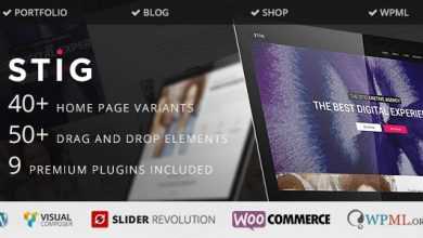 Photo of [Download-S2] Stig - Multipurpose Multi/One Page Responsive WP Theme