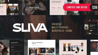 Photo of [Download-S2] Sliva v1.0 - Responsive Multi-Purpose Theme