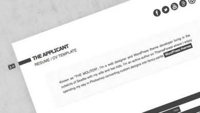 Photo of [Download-S2] The Applicant: Resume / CV HTML Themeforest Template