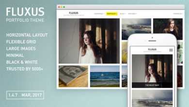 Photo of [Download-S2] Fluxus v1.4.7 - Portfolio Theme for Photographers