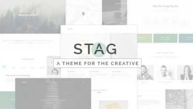 Photo of [Download-S2] Stag v1.3 - Portfolio Theme for Freelancers and Agencies