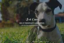 Photo of [Download-S2] Pet Care - Creativemarket Responsive One Page Theme