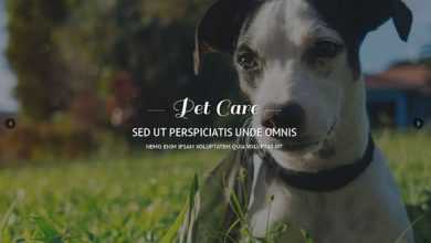 Photo of [Download-S2] Pet Care - Creativemarket Responsive One Page Theme