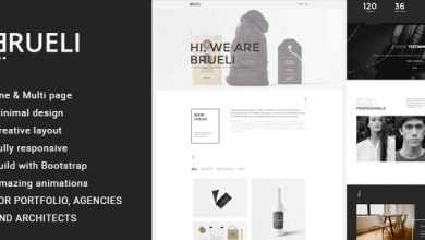 Photo of [Download-S2] Brueli - Minimal Portfolio / Agency / Architect Template