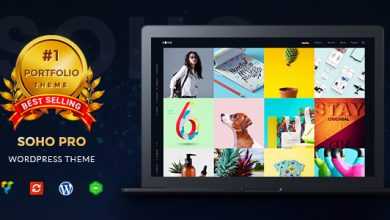 Photo of [Download-S2] SOHO Pro v1.9.1 - Creative Portfolio WordPress Theme