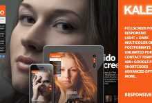Photo of [Download-S2] Kaleido Themeforest Responsive WP Fullscreen Studio