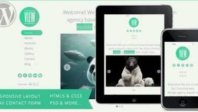 Photo of [Download-S2] View - 2 in 1 WordPress Responsive Themeforest Themes