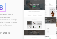Photo of [Download-S2] BoTheme v1.1 - Startup Business WordPress Theme