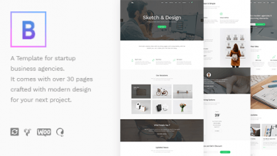 Photo of [Download-S2] BoTheme v1.2 - Startup Business WordPress Theme