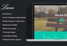 Photo of [Download-S2] Lane - Startup Landing Page Bootstrap WP Theme