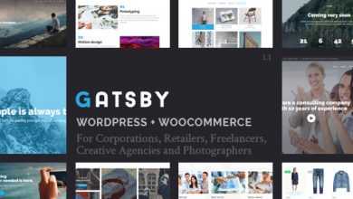 Photo of [Download-S2] Gatsby v1.1 - WordPress + eCommerce Theme