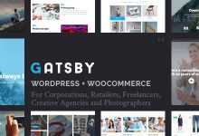 Photo of [Download-S2] Gatsby v1.2 - WordPress + eCommerce Theme