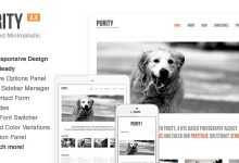 Photo of [Download-S2] Purity: Themeforest Responsive, Clean, Minimal & Bold WP Theme