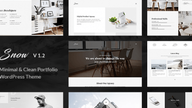 Photo of [Download-S2] Snow v1.3.2 - Minimal & Clean WordPress Portfolio Theme