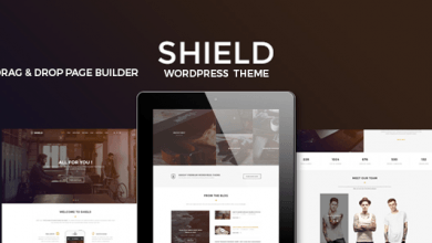 Photo of [Download-S2] Shield v1.0 - A Creative Responsive Multi-Concept WordPress Theme