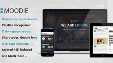 Photo of [Download-S2] Moodie - Themeforest Parallax One Page HTML Template