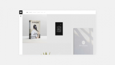 Photo of [Download-S2] Murbani - Minimal Portfolio WordPress Theme