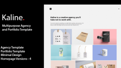 Photo of [Download-S2] Kaline Multipurpose Agency Portfolio Template