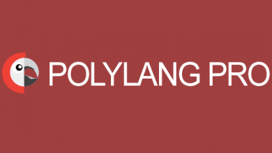 Photo of [Download-S1] Polylang Pro v2.6.4 - Multilingual Plugin